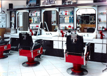 Interni del Salone